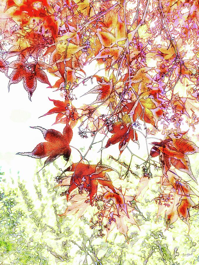 Japanese Maple in spring Digital Art by Bruce Block Japanese Maple in spring Digital Art by Bruce Block