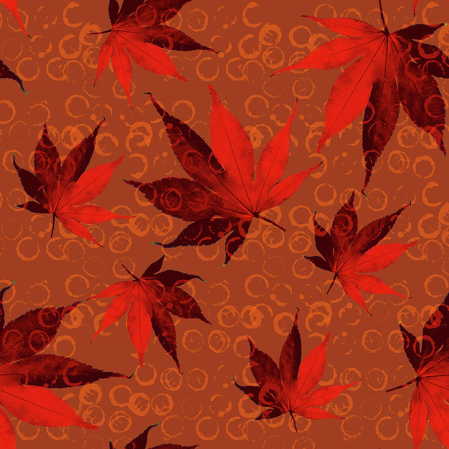 Japanese Maple Leaf Pattern Digital Art by Nancy Merkle