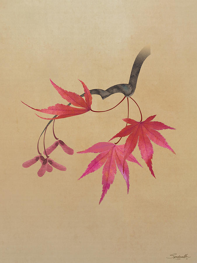 Japanese Maple Digital Art by M Spadecaller