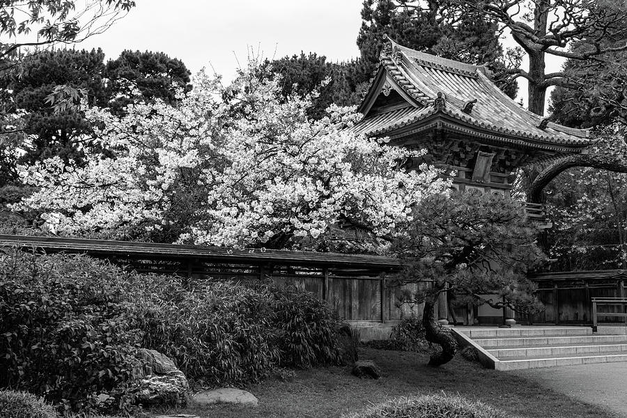Japanese Monochrome Photograph by Stewart Helberg