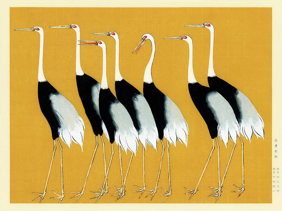 Japanese Red Crown Cranes By Ogata Korin Drawing by Ogata Korin Fine