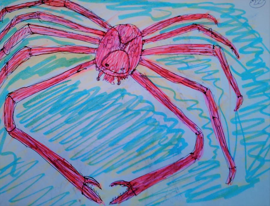 Japanese Spider Crab Drawing