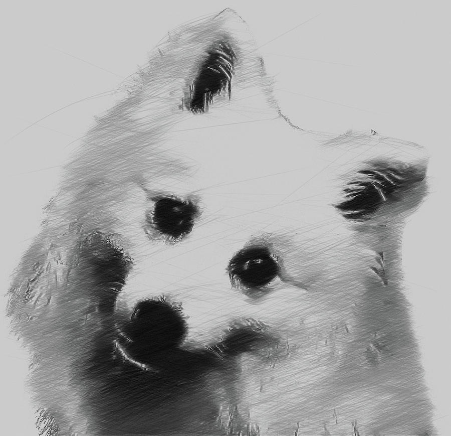 Japanese Spitz Dog Digital Art By Bob Smerecki