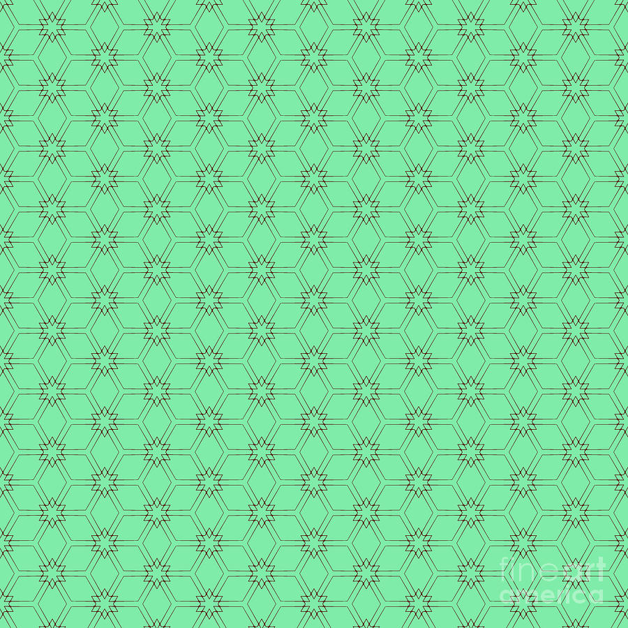 Japanese Star In Isometric Cube Pattern In Mint Green And Chocolate Brown N.0997 Painting
