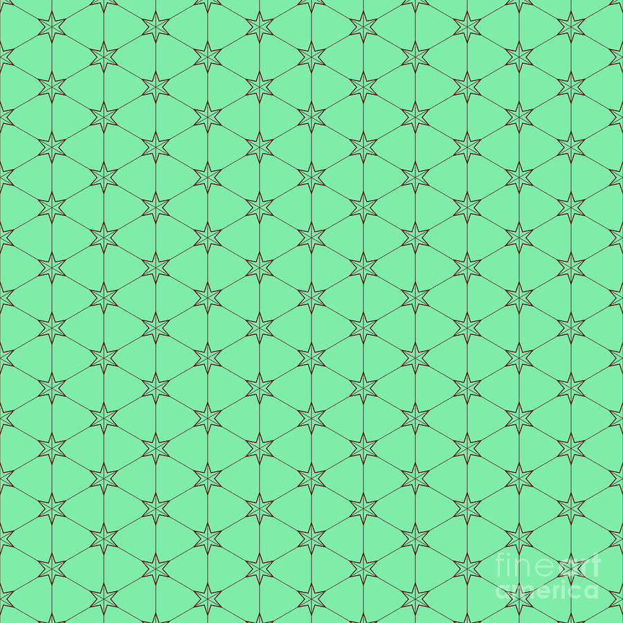 Japanese Star In Isometric Grid Pattern In Mint Green And Chocolate Brown N.1497 Painting