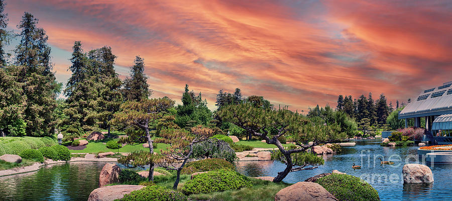 Japanese Sunset Garden  Photograph by David Zanzinger