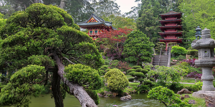 Japanese Tea Garden - Golden Gate Park 2x1 Photograph by Adam Romanowicz
