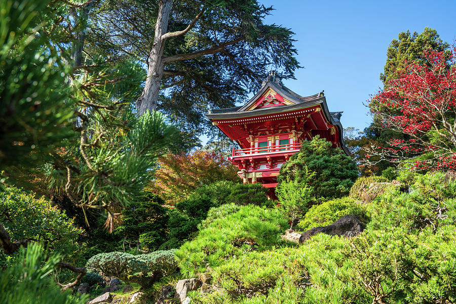 Japanese Tea Garden Pagoda Photograph by Kyle Lee - Fine Art America