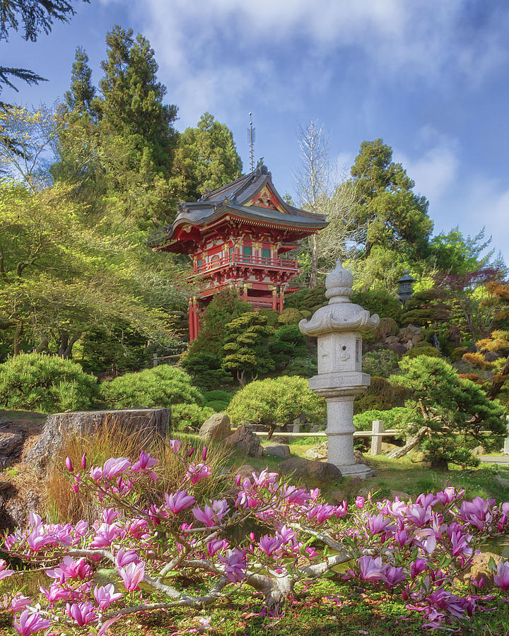 Japanese Tea Garden - Pagoda Photograph by Susan Rissi Tregoning