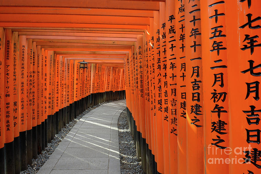 Japanese Torii Gates of Fushimi Inari Shrine near Kyoto Photograph by Tom Schwabel
