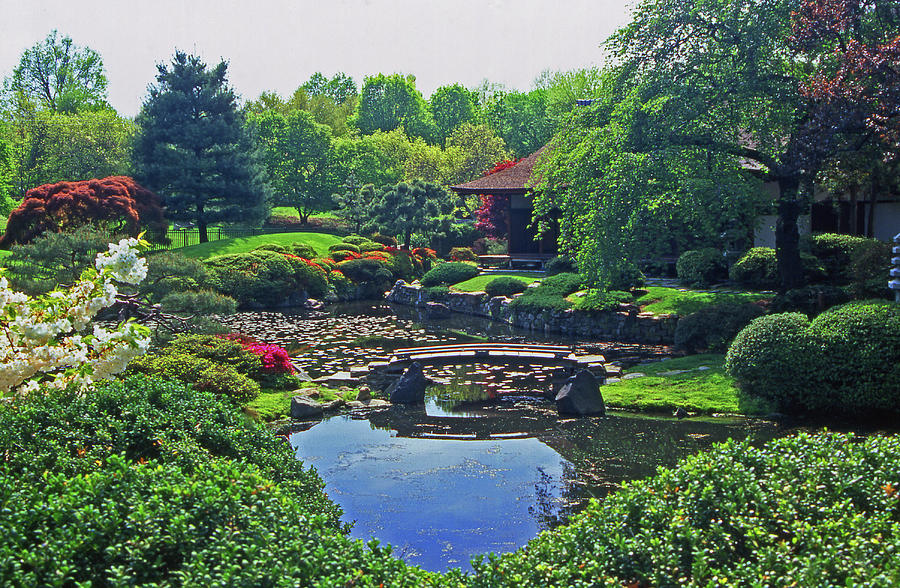 Japenese Garden Fairmont Park Philadelphia Photograph by Blair Seitz