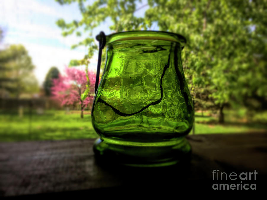 Jar In The Window Photograph by Luther Fine Art