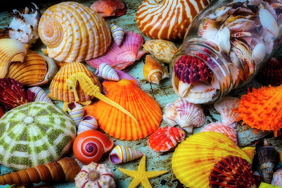 Jar Of Seashells Spilling Out Photograph by Garry Gay - Fine Art America