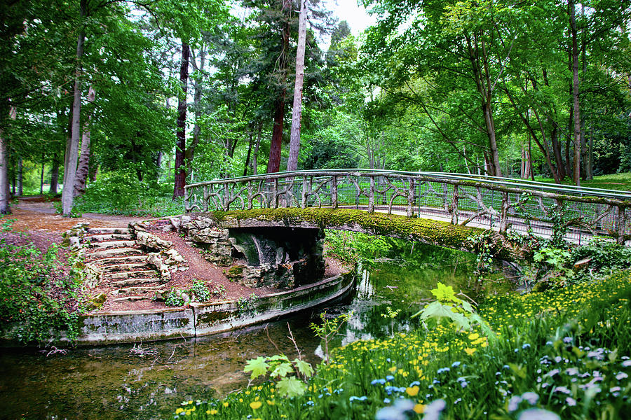 Jardin De Bois-Preau Photograph by Iryna Goodall