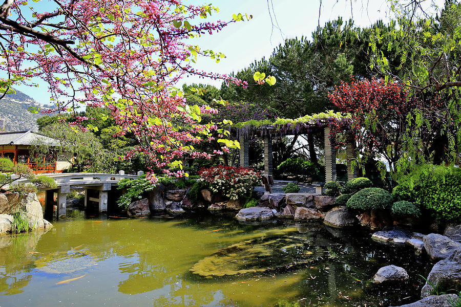 Jardin Japonais Japanese Garden Photograph by Peter Kraaibeek
