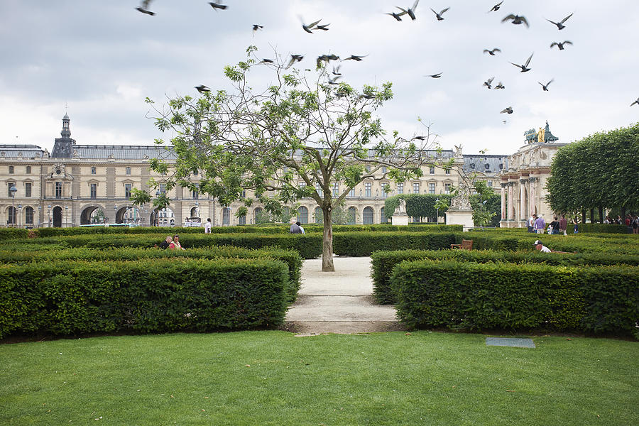 Jardins des Tuileries at the Louvres Museum, Paris, France Photograph by Cultura RM Exclusive/Kathleen Finlay