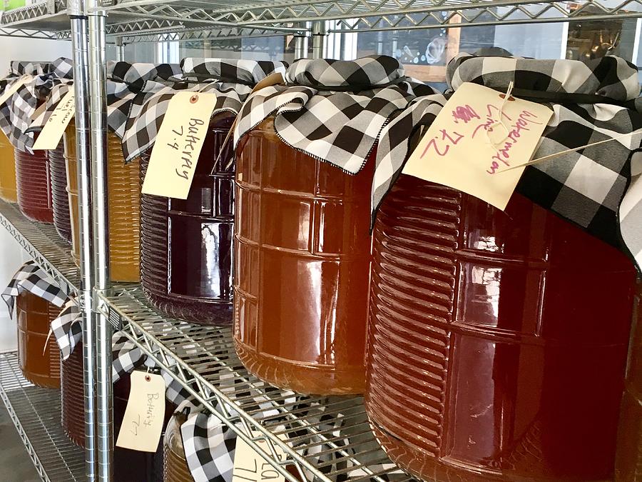 Jars of Fermenting Kombucha Photograph by photo by Pam Susemiehl Jars of Fermenting Kombucha Photograph by photo by Pam Susemiehl