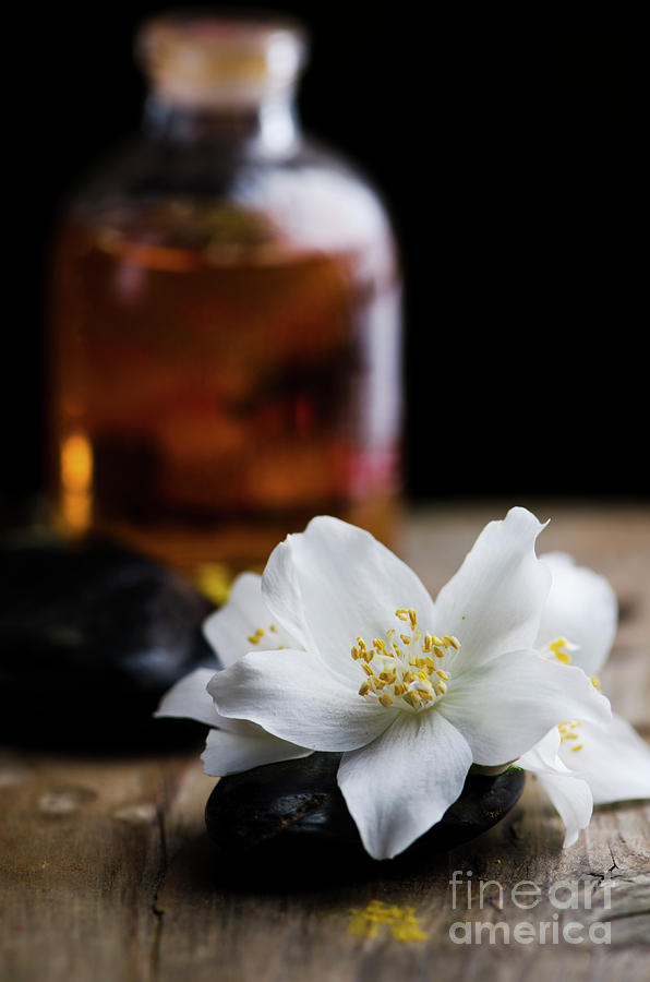 Jasmin flower and scented oil Photograph by Jelena Jovanovic