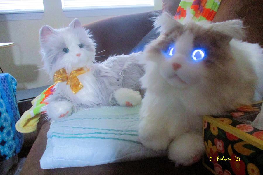 Jasmine and Bella My Robot Cats Photograph by Denise F Fulmer