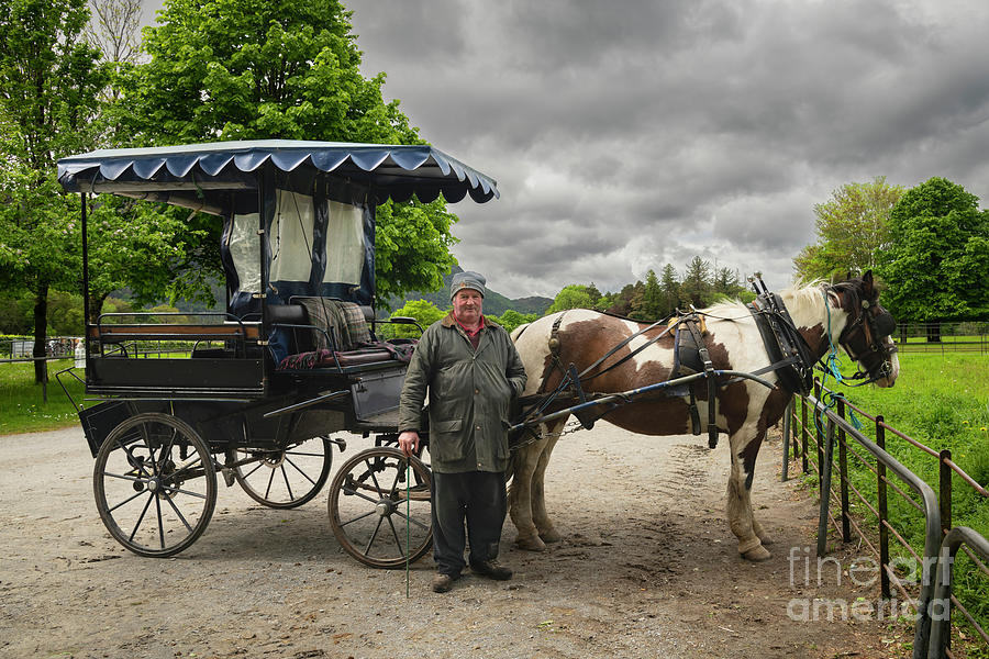 Jaunting Car And Jarvey Photograph by Catherine Sullivan