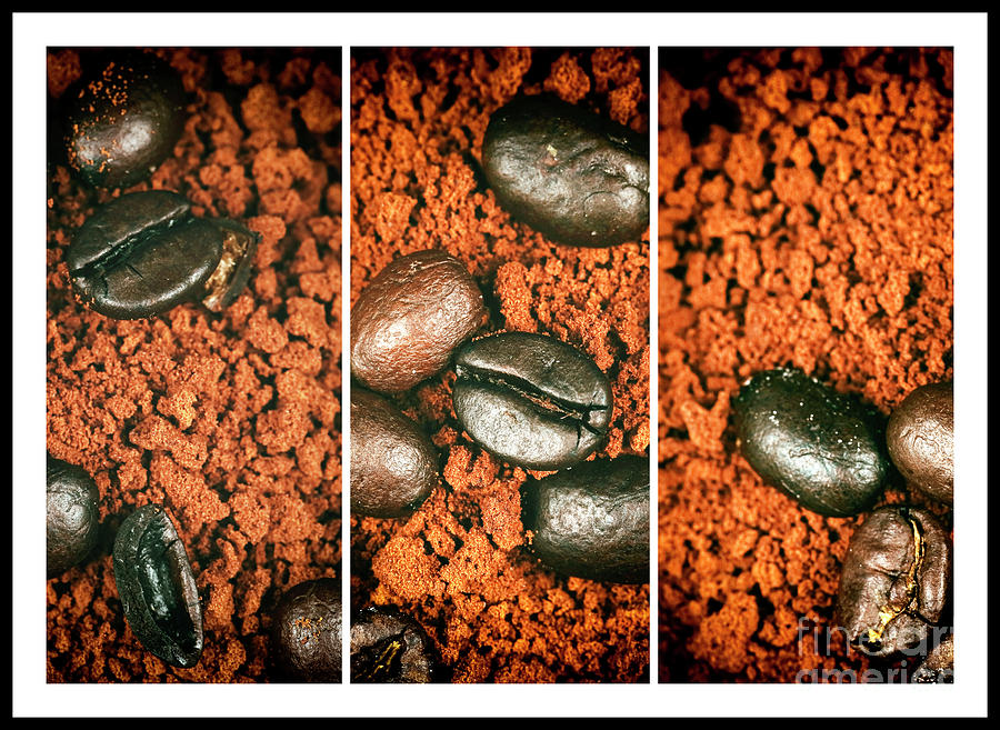 Java Grinds Triptych Photograph by John Rizzuto