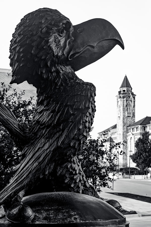 Jayhawk Guardian Of Lawrence Kansas - Black And White Photograph by Gregory Ballos