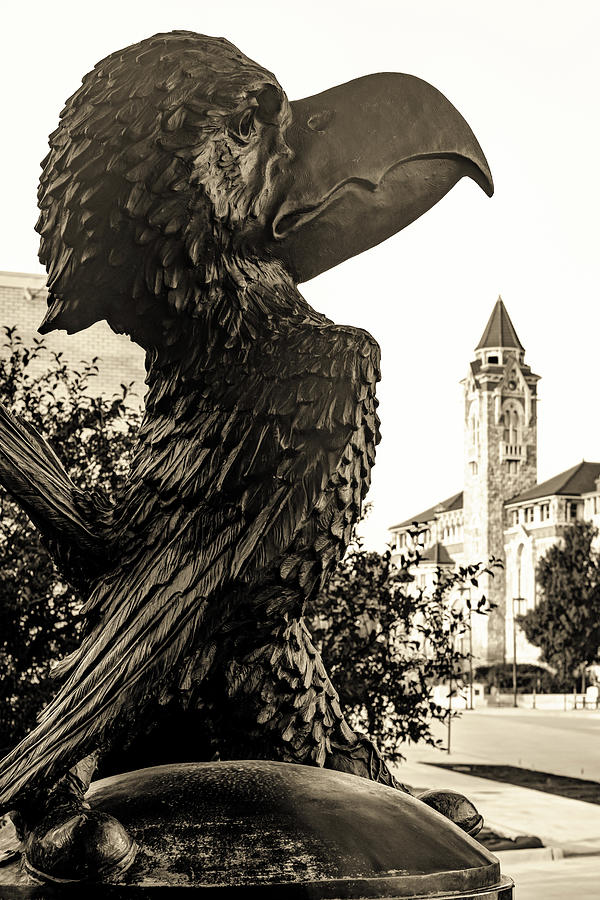 Jayhawk Guardian Of Lawrence Kansas - Vintage Edition Photograph by Gregory Ballos