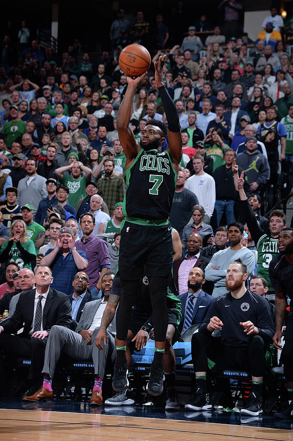 Jaylen Brown Photograph by Bart Young