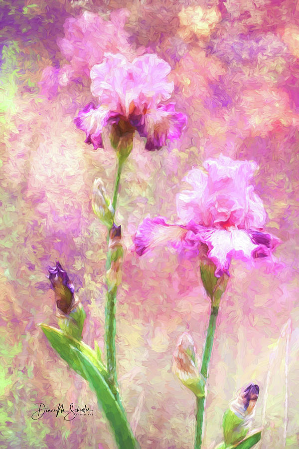 Flower Photograph - Jazzy Iris by Diane Schuster