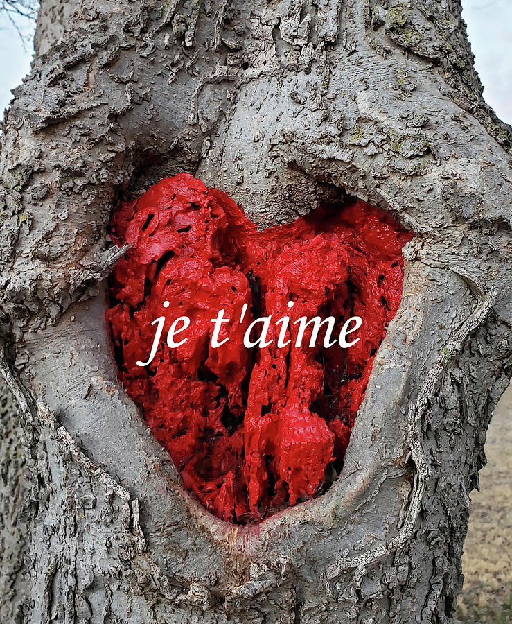 Je Taime Red Heart In A Tree Painting by Lynnie Lang
