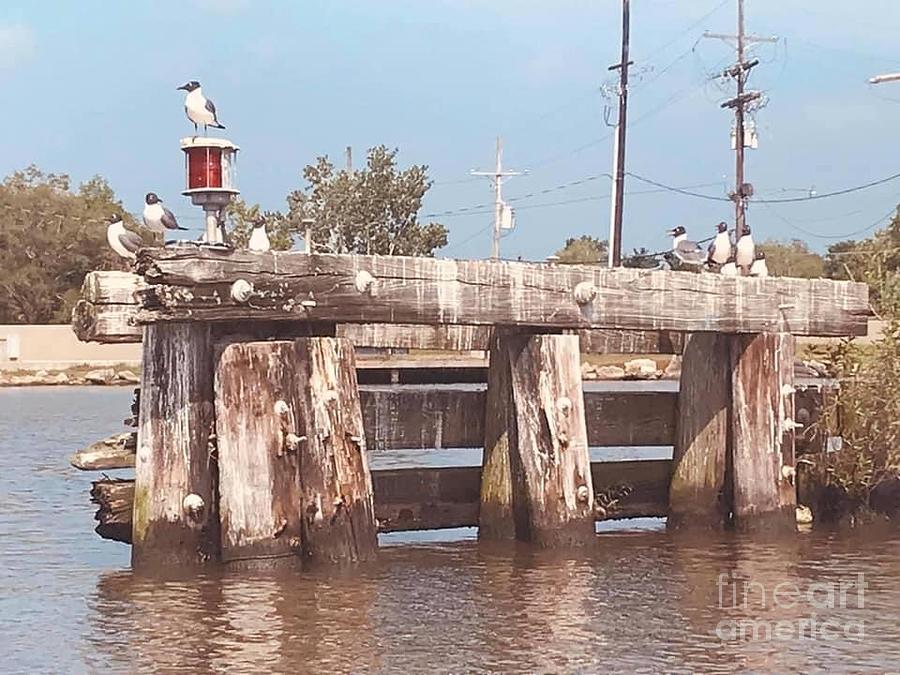 Jean Lafitte Louisiana Photograph by Danielle Riley-simmons - Pixels