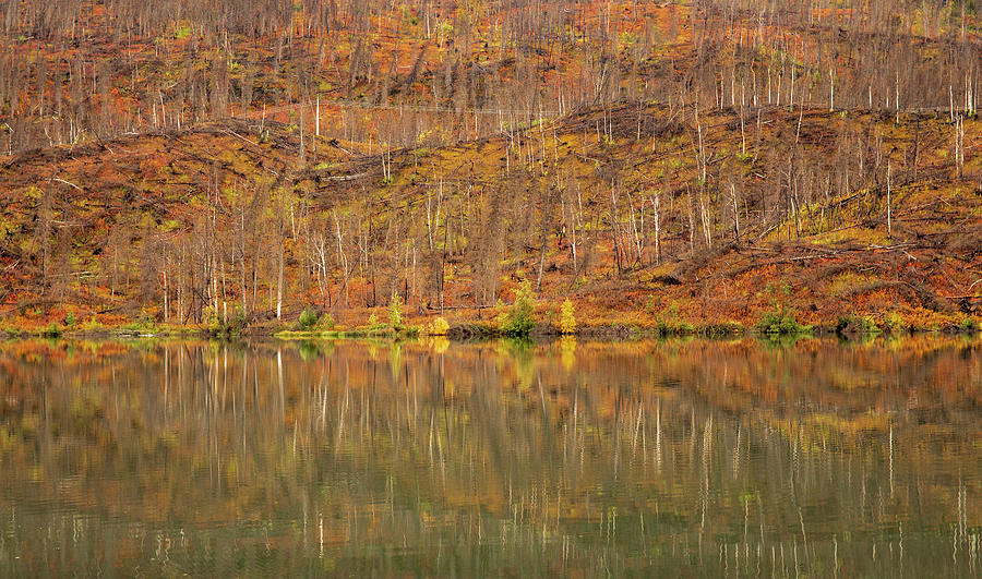Jean Lake Autumn Reflections Alaska Photograph