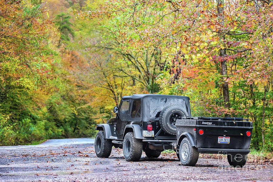 Jeep Life Photograph by Ed Taylor