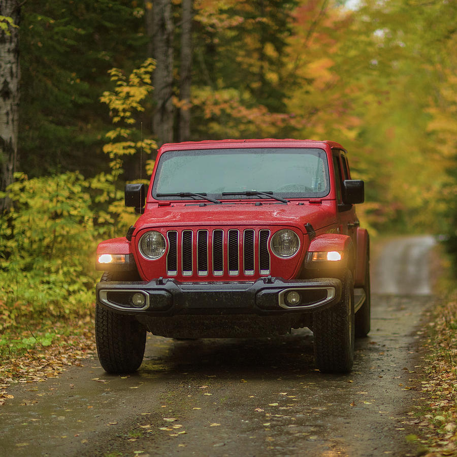 Canada Photograph - Jeep on a New Brunswick forest road by Murray Rudd