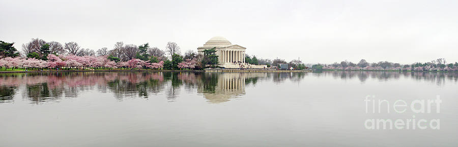 Jefferson Memorial and Cherry Blossoms Panorama 2 Photograph by Jack Schultz