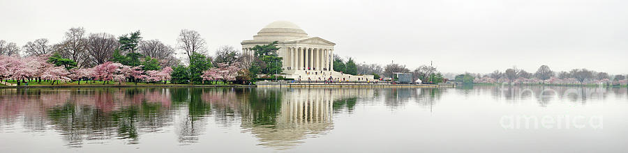 Jefferson Memorial and Cherry Blossoms Panorama Photograph by Jack Schultz