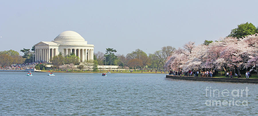 Jefferson Memorial and the Tidal Basin 1097 Photograph by Jack Schultz
