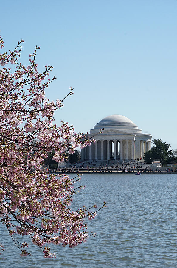Jefferson Memorial in Spring Photograph by Richard Reeve