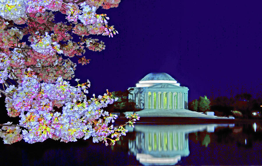 Jefferson Memorial with cherry blossoms at night Photograph by Bill Jonscher