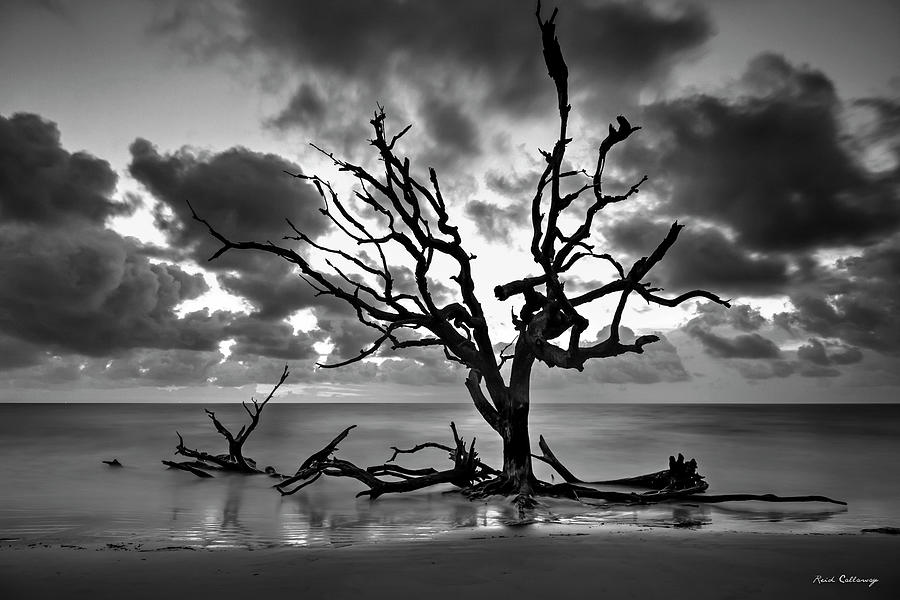 Jekyll Island GA Here Comes The Light Driftwood Beach Sunrise Seascape Art Photograph by Reid Callaway
