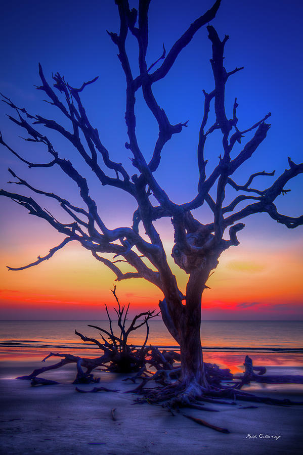 Jekyll Island GA Majestic Colored Sunrise Driftwood Beach Landscape Seascape Art Photograph by Reid Callaway