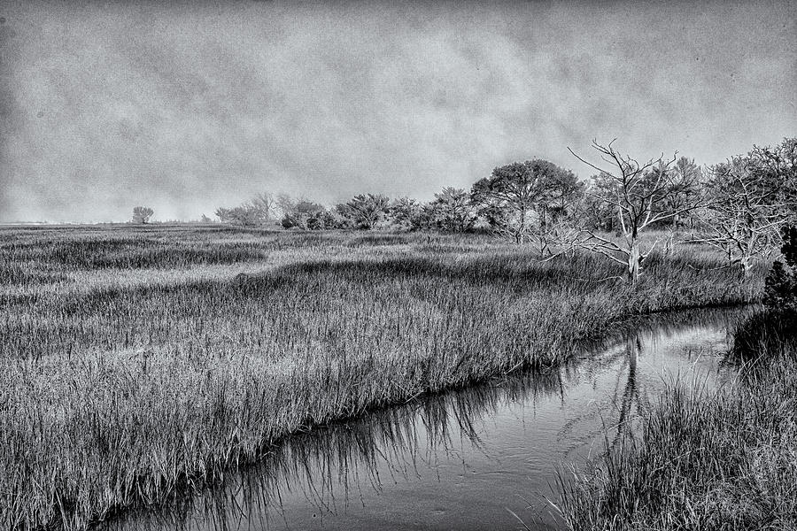 Jekyll Island Marsh Photograph by Tom Singleton