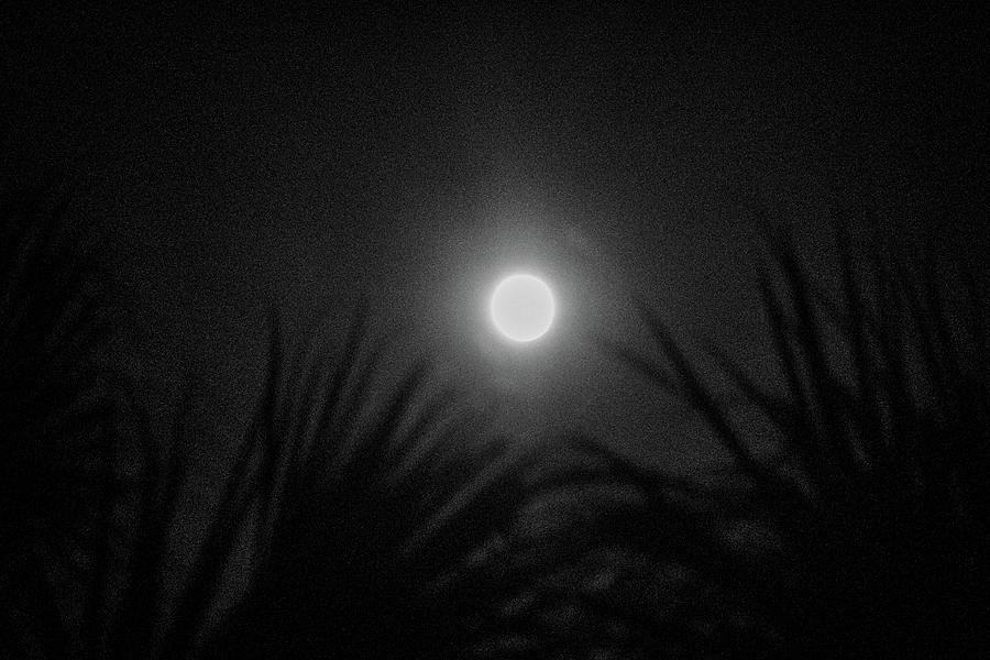 Jekyll Island Moon Spookiness  Photograph by Ed Williams