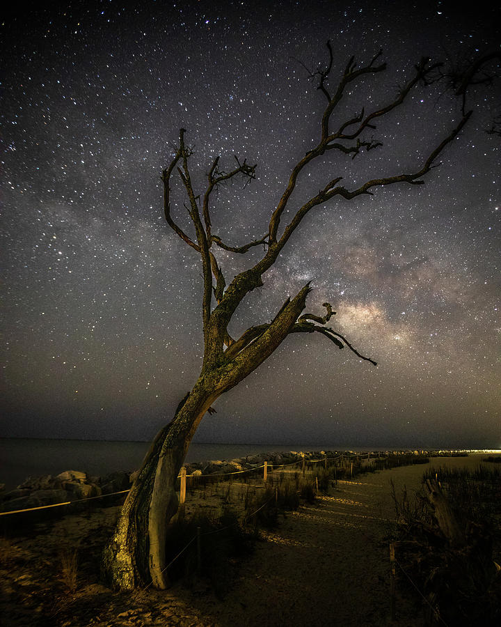 Jekyll Island Night Sky Photograph by Nick Noble