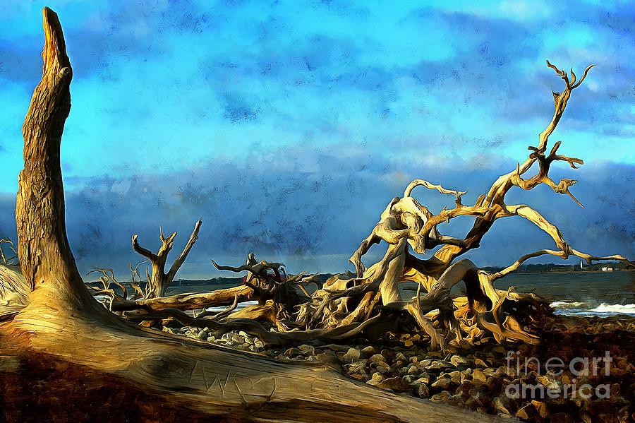  Jekyll Island Stories at Driftwood Beach Photograph by Sea Change Vibes