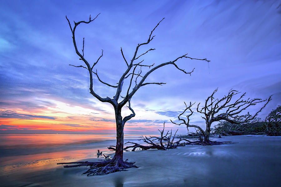 Jekyll Island Sunrise  Photograph by Harriet Feagin