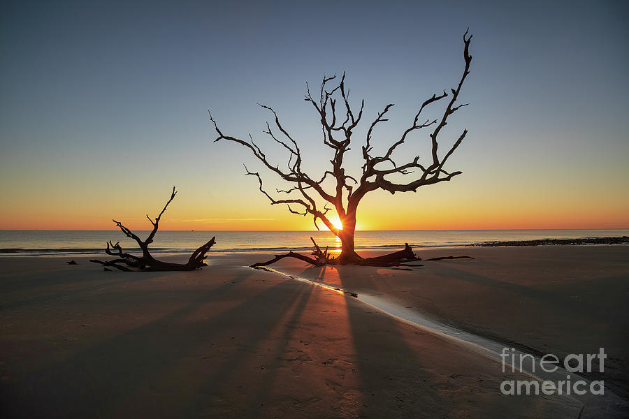 Jekyll Island Sunrise Photograph by Scott Pellegrin Fine Art America