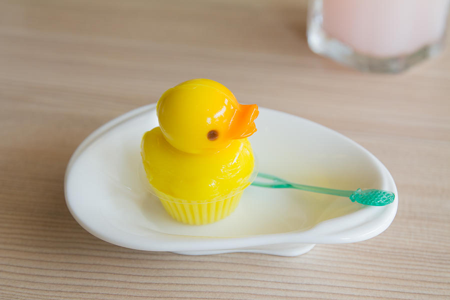 Jelly duck Photograph by Ju_Rong