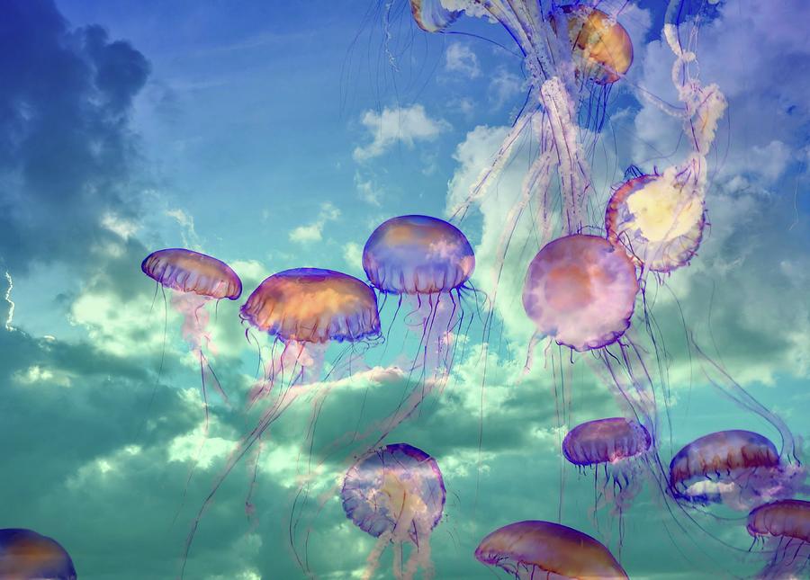 JellyFish Clouds  Photograph by Marilyn MacCrakin