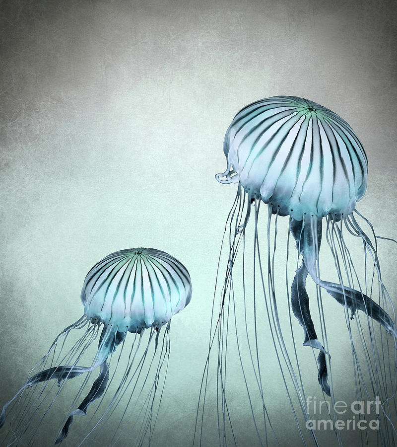 Jellyfish Dance Mixed Media by Lucie Dumas